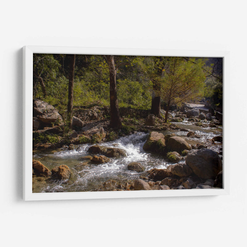 Rio Corriendo - Donaldo Meda  | Cuadro decorativo de Canvas Lab