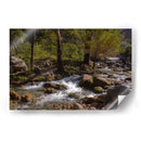 Rio Corriendo - Donaldo Meda  | Cuadro decorativo de Canvas Lab