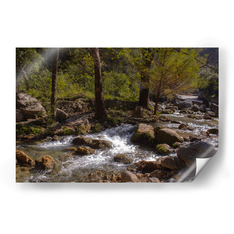 Rio Corriendo - Donaldo Meda  | Cuadro decorativo de Canvas Lab