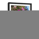 Flores Rosas - Donaldo Meda  | Cuadro decorativo de Canvas Lab