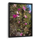 Flores Rosas - Donaldo Meda  | Cuadro decorativo de Canvas Lab