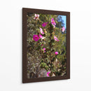 Flores Rosas - Donaldo Meda  | Cuadro decorativo de Canvas Lab