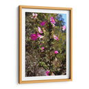 Flores Rosas - Donaldo Meda  | Cuadro decorativo de Canvas Lab