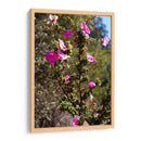 Flores Rosas - Donaldo Meda  | Cuadro decorativo de Canvas Lab