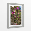 Flores Rosas - Donaldo Meda  | Cuadro decorativo de Canvas Lab