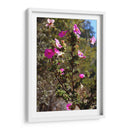 Flores Rosas - Donaldo Meda  | Cuadro decorativo de Canvas Lab