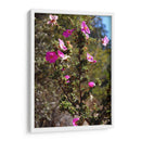 Flores Rosas - Donaldo Meda  | Cuadro decorativo de Canvas Lab