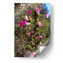 Flores Rosas - Donaldo Meda  | Cuadro decorativo de Canvas Lab