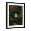 MARGARITA COMUN  - ALEJANDRE PHOTOGRAPHY | Cuadro decorativo de Canvas Lab