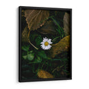 MARGARITA COMUN  - ALEJANDRE PHOTOGRAPHY | Cuadro decorativo de Canvas Lab