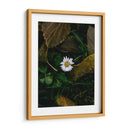 MARGARITA COMUN  - ALEJANDRE PHOTOGRAPHY | Cuadro decorativo de Canvas Lab