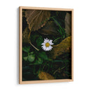 MARGARITA COMUN  - ALEJANDRE PHOTOGRAPHY | Cuadro decorativo de Canvas Lab