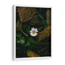 MARGARITA COMUN  - ALEJANDRE PHOTOGRAPHY | Cuadro decorativo de Canvas Lab