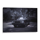 Viaje en blanco y negro - Alan050 | Cuadro decorativo de Canvas Lab