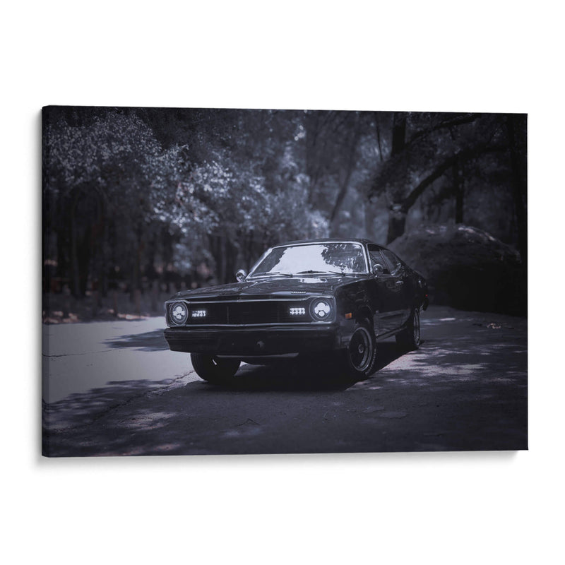 Viaje en blanco y negro - Alan050 | Cuadro decorativo de Canvas Lab