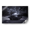 Viaje en blanco y negro - Alan050 | Cuadro decorativo de Canvas Lab