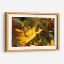 Estallar de primavera - Alan050 | Cuadro decorativo de Canvas Lab