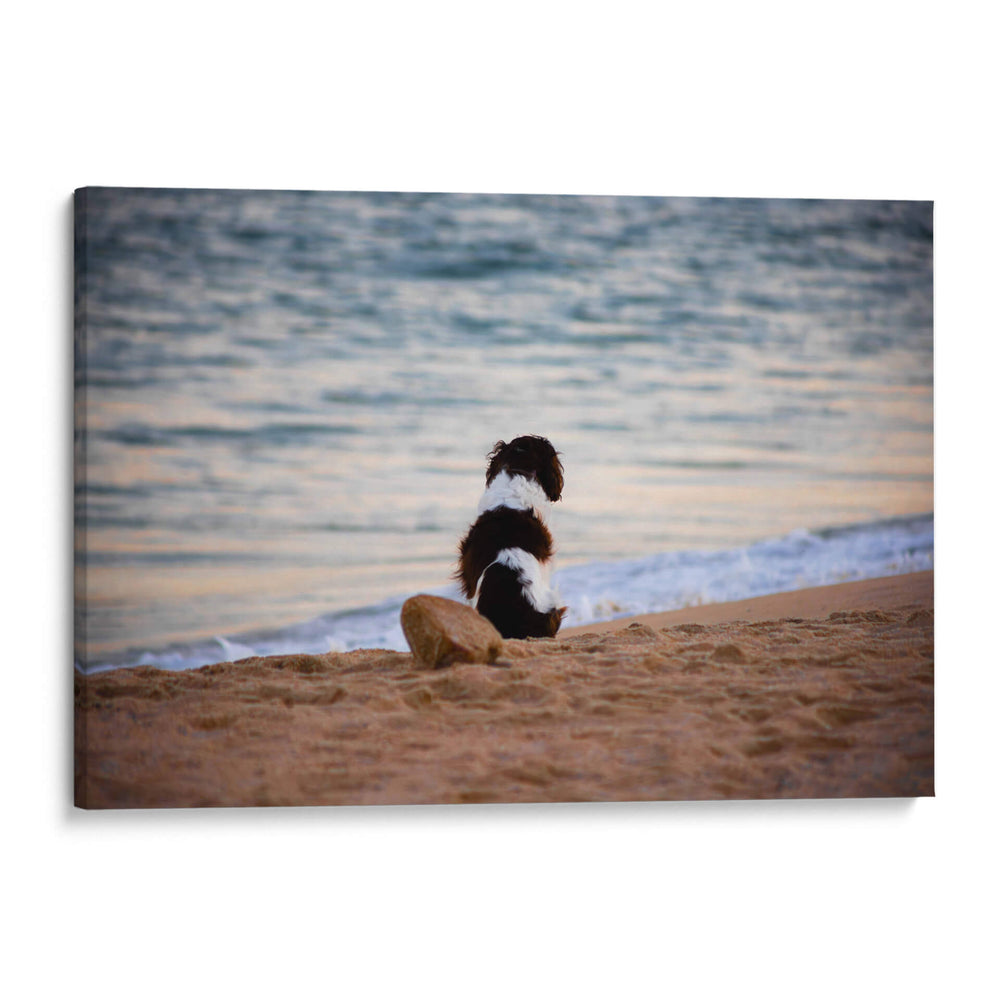 El can y la mar - Alan050 | Cuadro decorativo de Canvas Lab