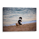 El can y la mar - Alan050 | Cuadro decorativo de Canvas Lab
