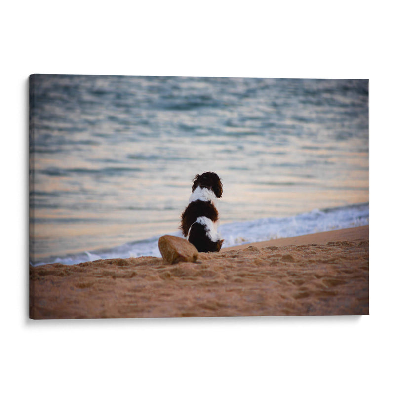 El can y la mar - Alan050 | Cuadro decorativo de Canvas Lab