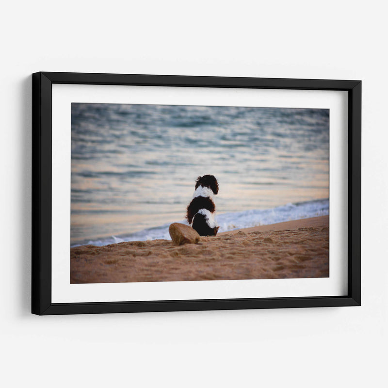 El can y la mar - Alan050 | Cuadro decorativo de Canvas Lab