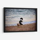 El can y la mar - Alan050 | Cuadro decorativo de Canvas Lab