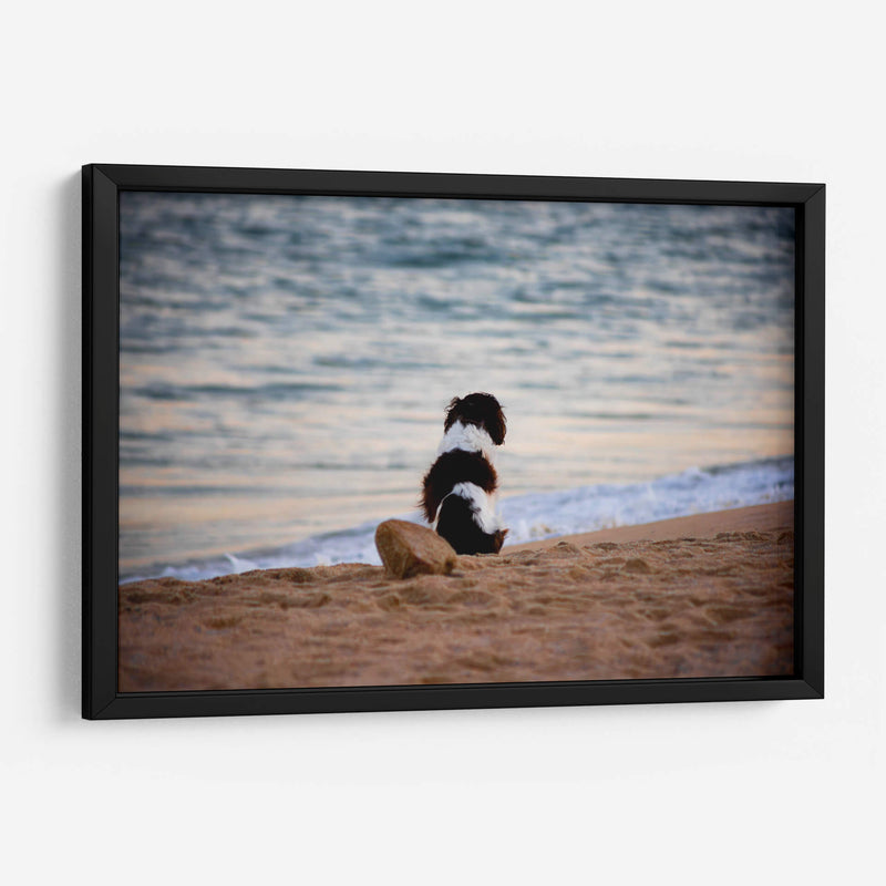 El can y la mar - Alan050 | Cuadro decorativo de Canvas Lab