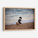 El can y la mar - Alan050 | Cuadro decorativo de Canvas Lab