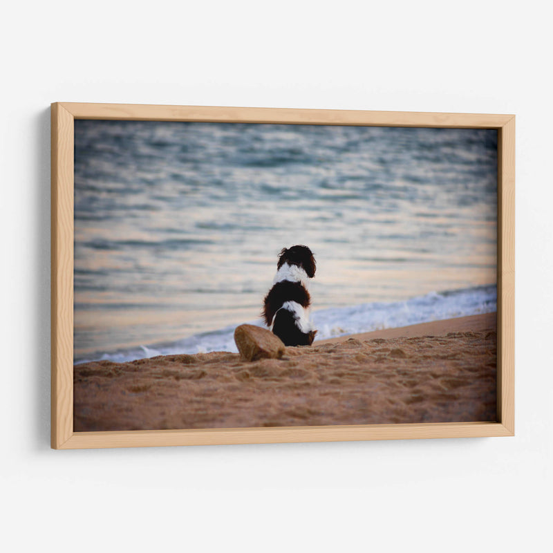 El can y la mar - Alan050 | Cuadro decorativo de Canvas Lab