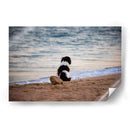 El can y la mar - Alan050 | Cuadro decorativo de Canvas Lab