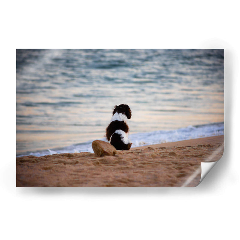 El can y la mar - Alan050 | Cuadro decorativo de Canvas Lab