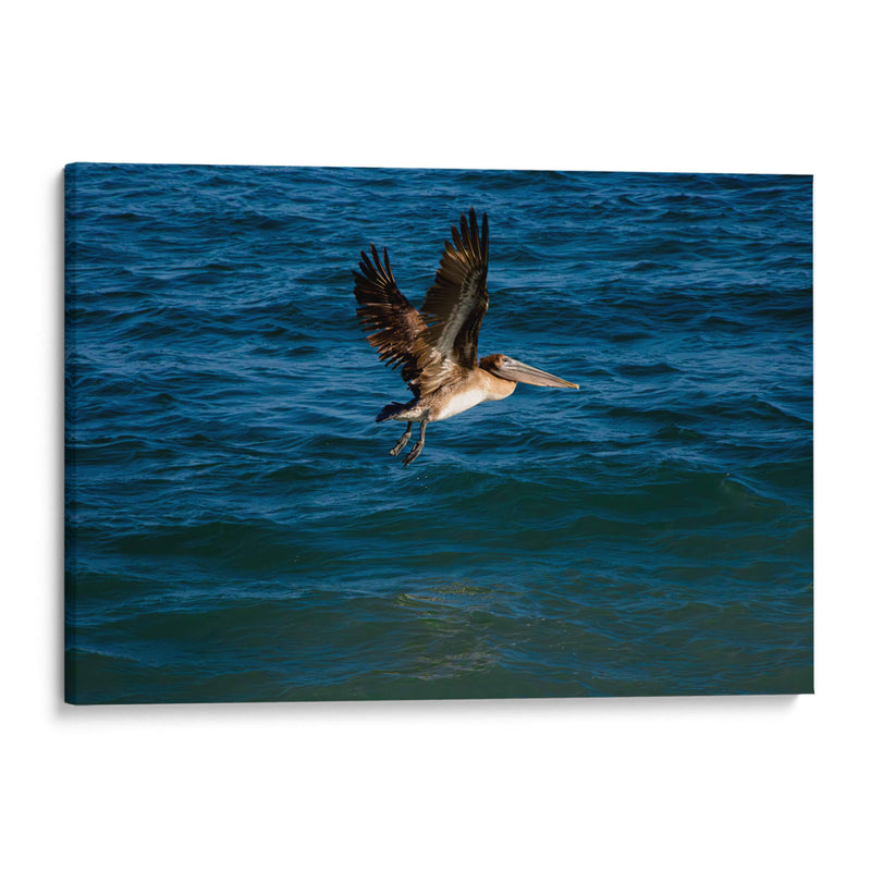 Tarde en la costa - Alan050 | Cuadro decorativo de Canvas Lab