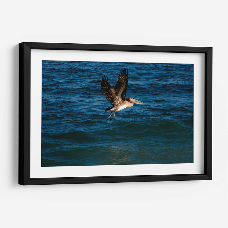 Tarde en la costa - Alan050 | Cuadro decorativo de Canvas Lab