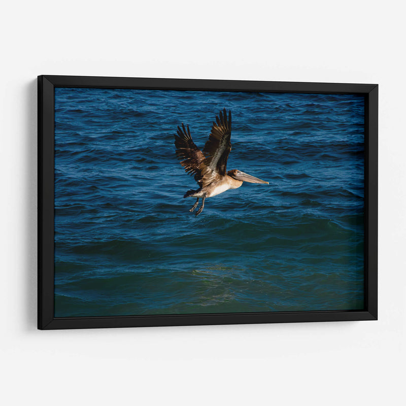 Tarde en la costa - Alan050 | Cuadro decorativo de Canvas Lab