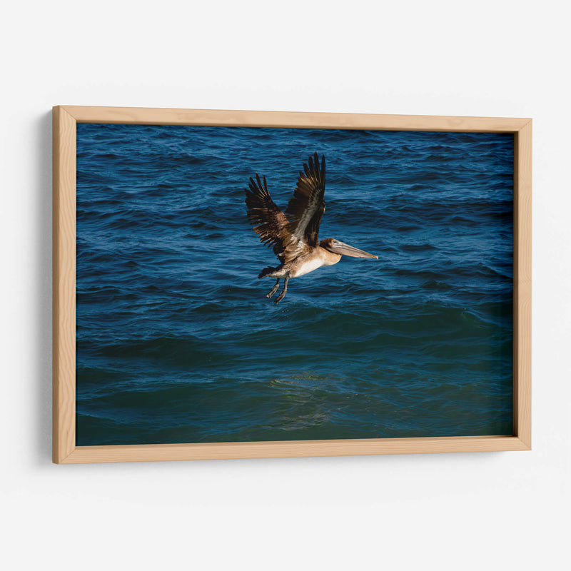 Tarde en la costa - Alan050 | Cuadro decorativo de Canvas Lab