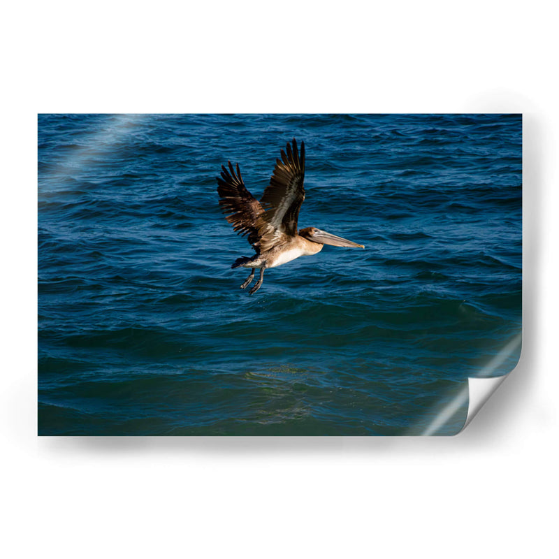 Tarde en la costa - Alan050 | Cuadro decorativo de Canvas Lab