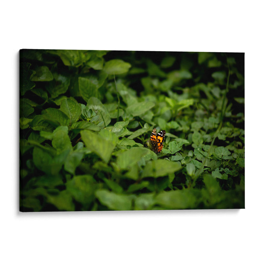 Resplandar naranja - Alan050 | Cuadro decorativo de Canvas Lab