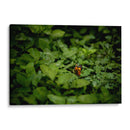 Resplandar naranja - Alan050 | Cuadro decorativo de Canvas Lab