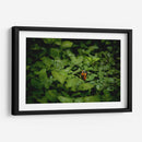 Resplandar naranja - Alan050 | Cuadro decorativo de Canvas Lab