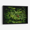 Resplandar naranja - Alan050 | Cuadro decorativo de Canvas Lab