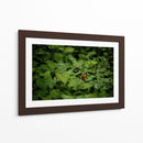 Resplandar naranja - Alan050 | Cuadro decorativo de Canvas Lab