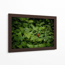 Resplandar naranja - Alan050 | Cuadro decorativo de Canvas Lab