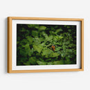 Resplandar naranja - Alan050 | Cuadro decorativo de Canvas Lab