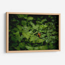 Resplandar naranja - Alan050 | Cuadro decorativo de Canvas Lab