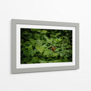 Resplandar naranja - Alan050 | Cuadro decorativo de Canvas Lab