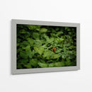 Resplandar naranja - Alan050 | Cuadro decorativo de Canvas Lab