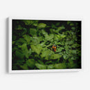 Resplandar naranja - Alan050 | Cuadro decorativo de Canvas Lab