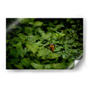 Resplandar naranja - Alan050 | Cuadro decorativo de Canvas Lab