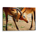 Amor de madre - Alan050 | Cuadro decorativo de Canvas Lab