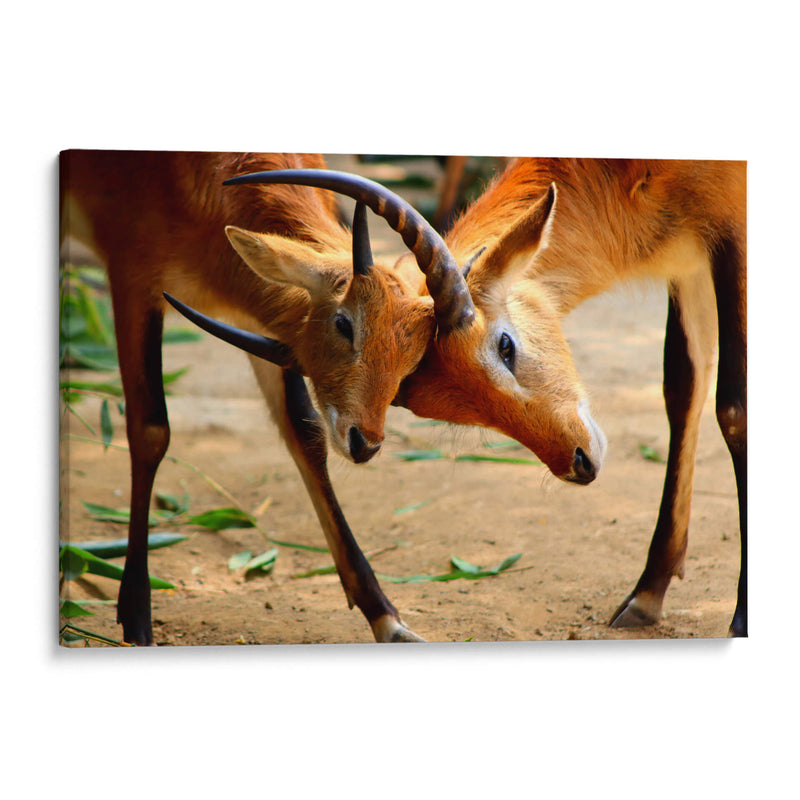 Amor de madre - Alan050 | Cuadro decorativo de Canvas Lab